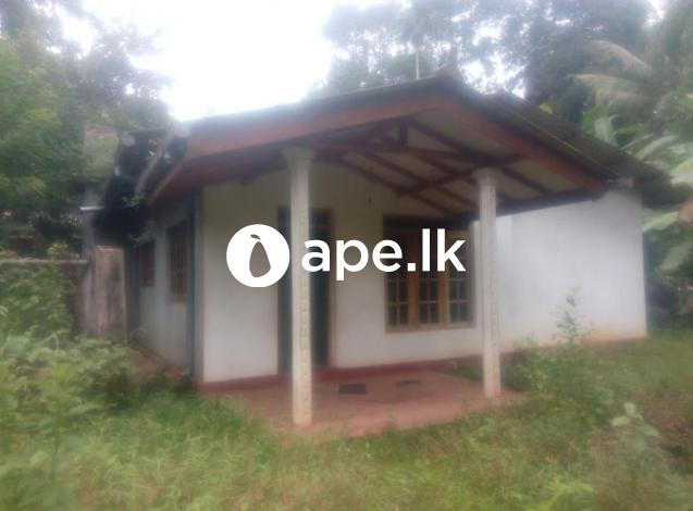 à¶±à·’à·€à·ƒ à·ƒà¶¸à¶œ à¶‰à¶©à¶¸-à¶¸à·”à·€à¶œà¶¸- à¶»à¶­à·Šà¶±à¶´à·”à¶».